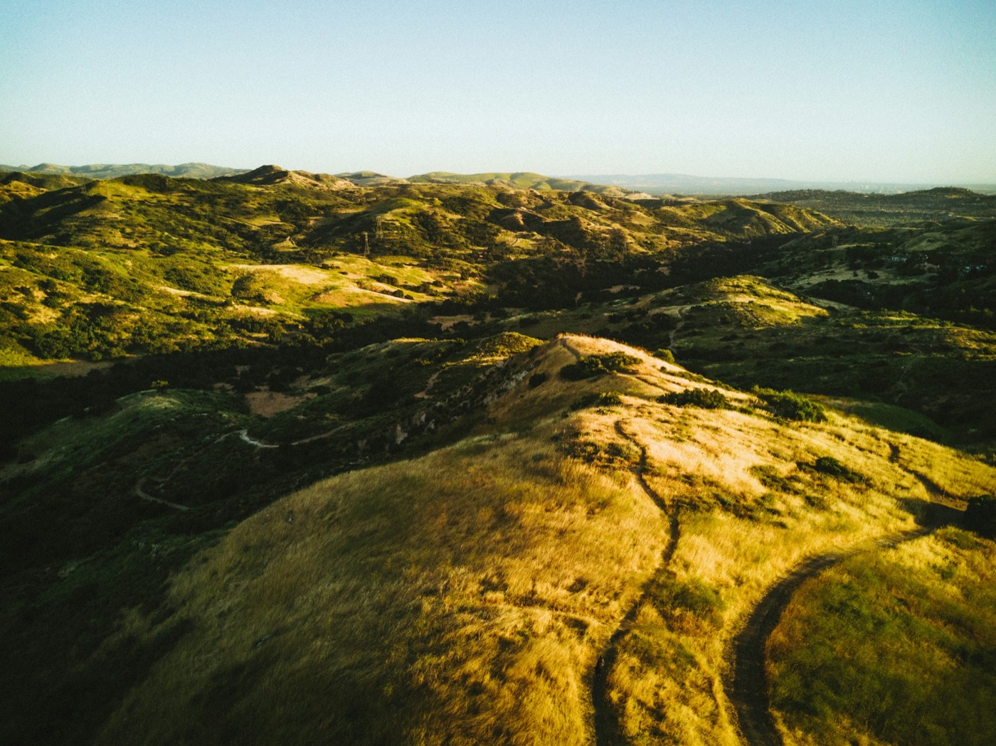 Golden grass and green hills of Anaheim Hills at sunset with trails winding across them