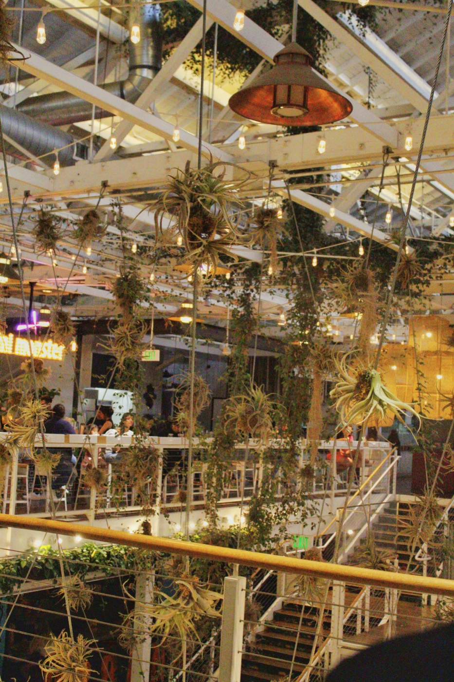 Hanging plants and string lights inside the food hall of the Anaheim Packing District