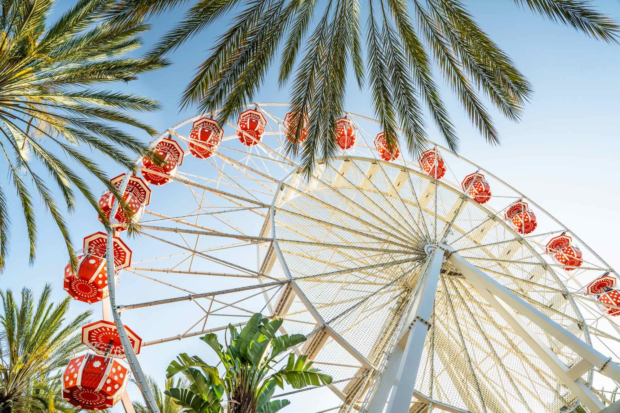 The Giant Wheel at Irvine Spectrum Center framed by palm trees under a blue sky
