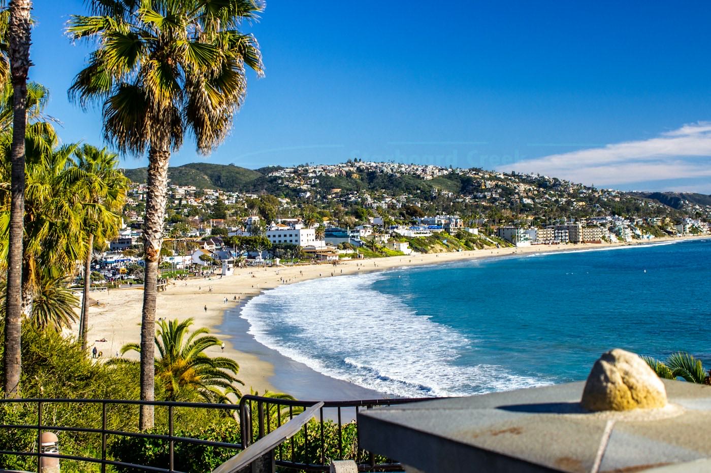 Palm trees above Main Beach in Laguna Beach
