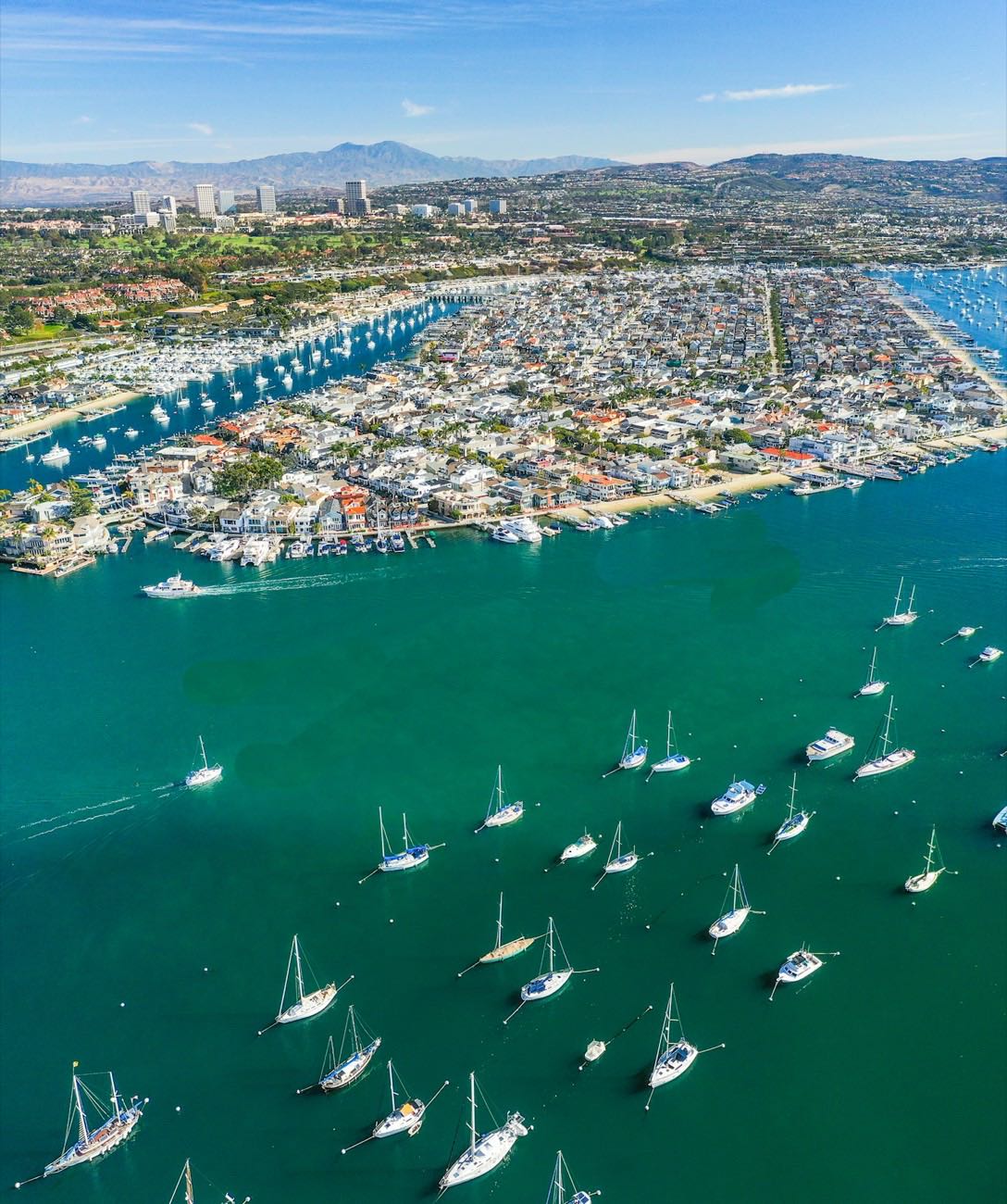 Sailboats in Newport Harbor with the city behind