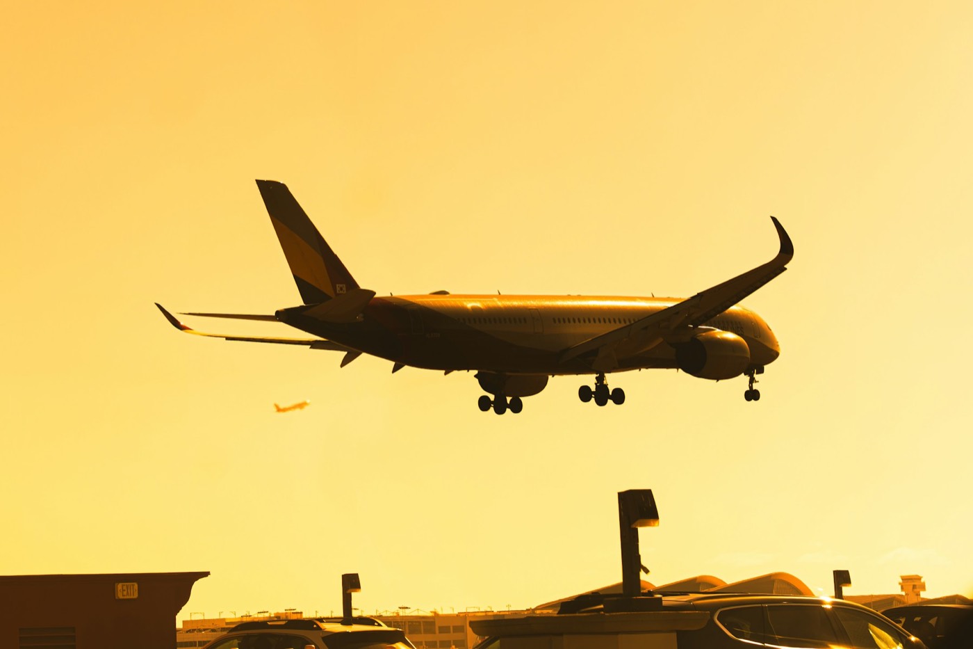A plane coming in to land against a golden evening sky