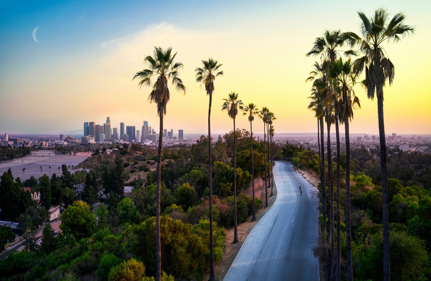 A palm-lined road leading toward the Los Angeles skyline at sunset