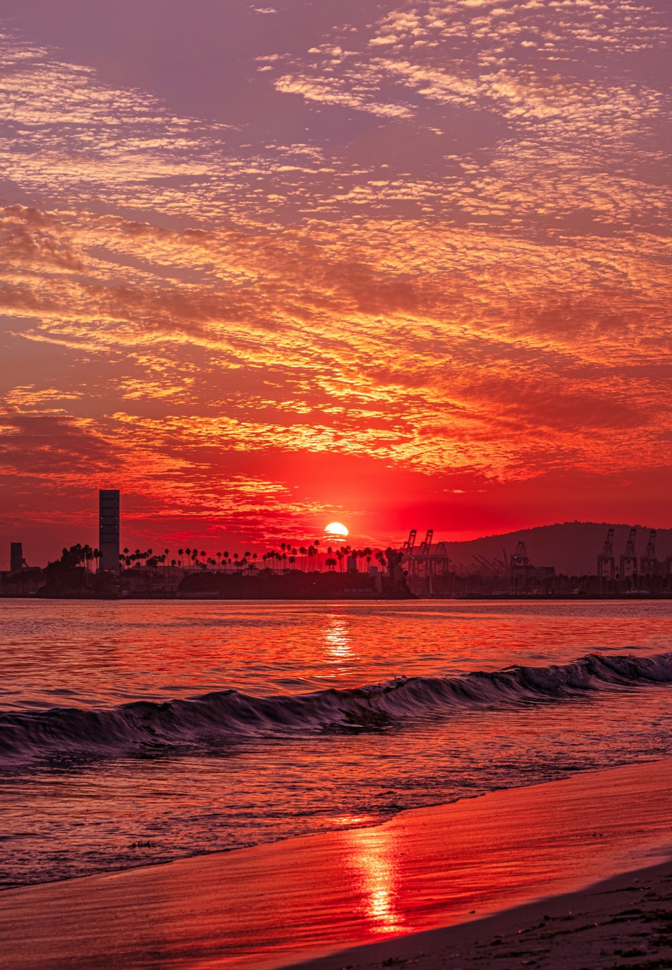 A red sunset over the beach with palm trees and port cranes on the horizon