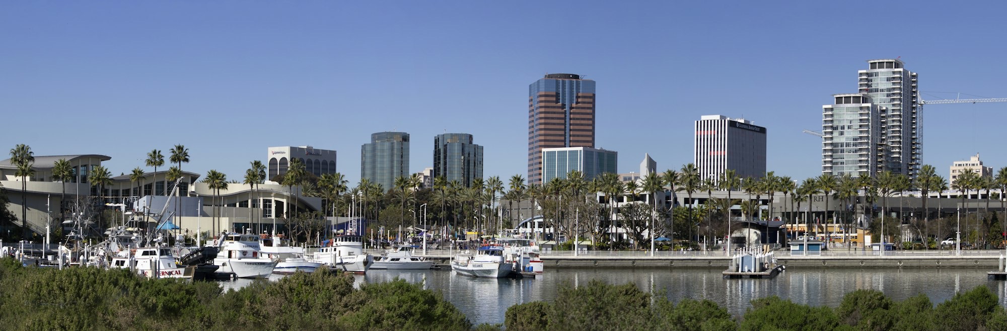 The downtown Long Beach waterfront with the convention center, palm trees, boats and office towers