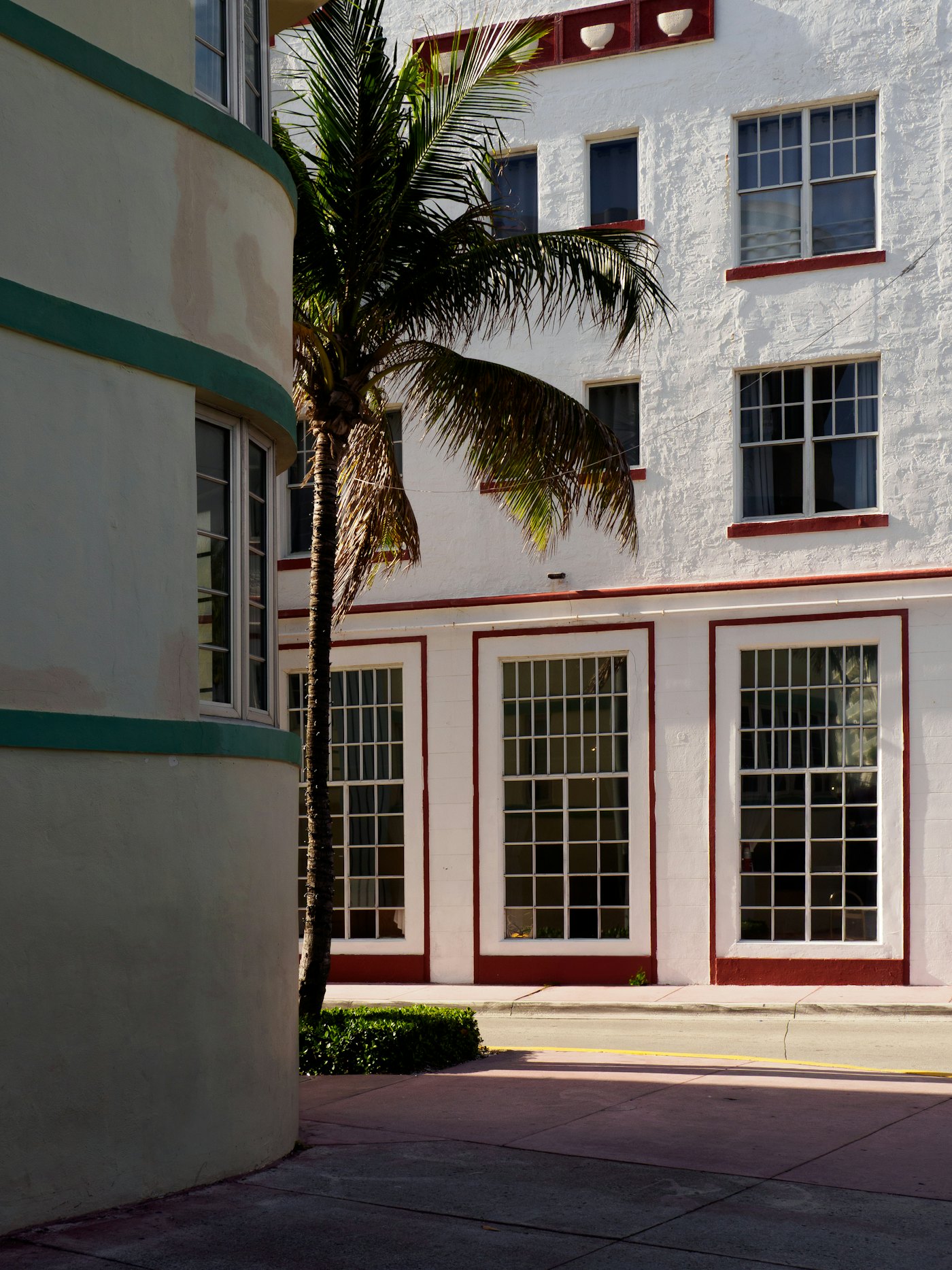 Art Deco hotel facades and a palm tree in Miami Beach