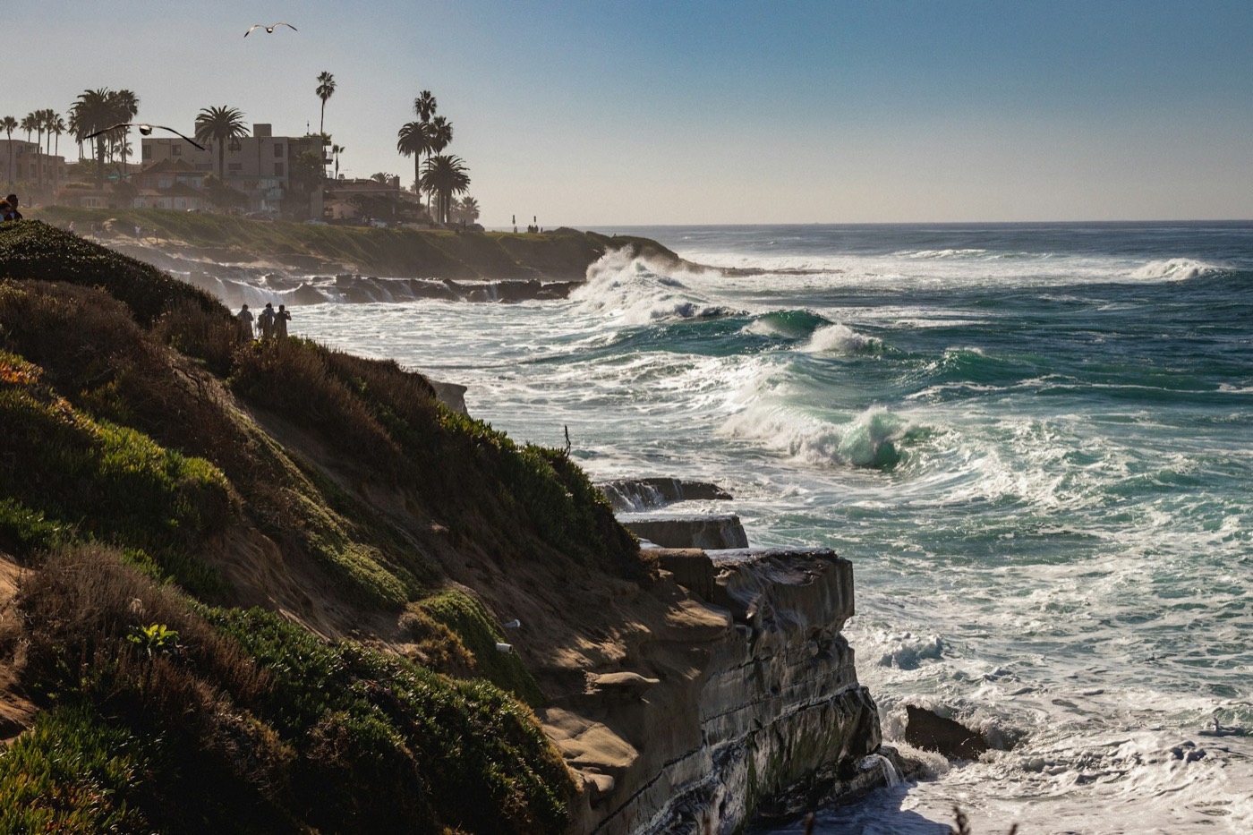 Waves breaking below the cliffs of La Jolla